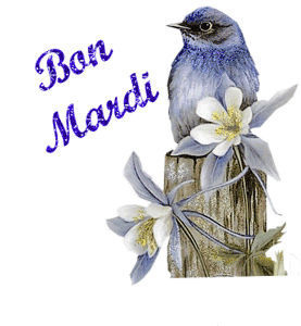 Gif animé Bon mardi oiseau bleu